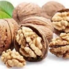 photo_2025-04-18_15-09-43